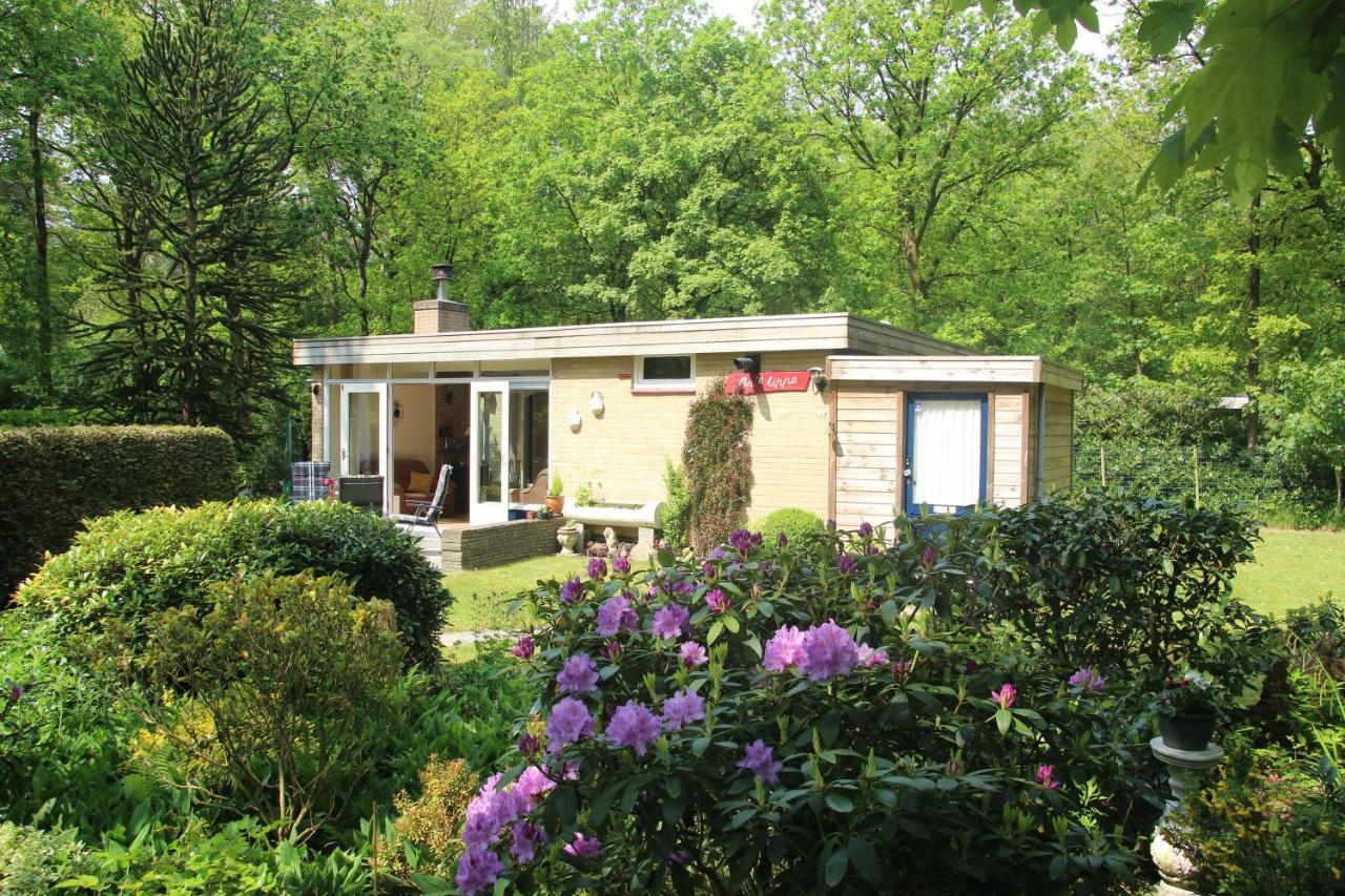Valouwe 54 Apartment Appelscha Exterior photo
